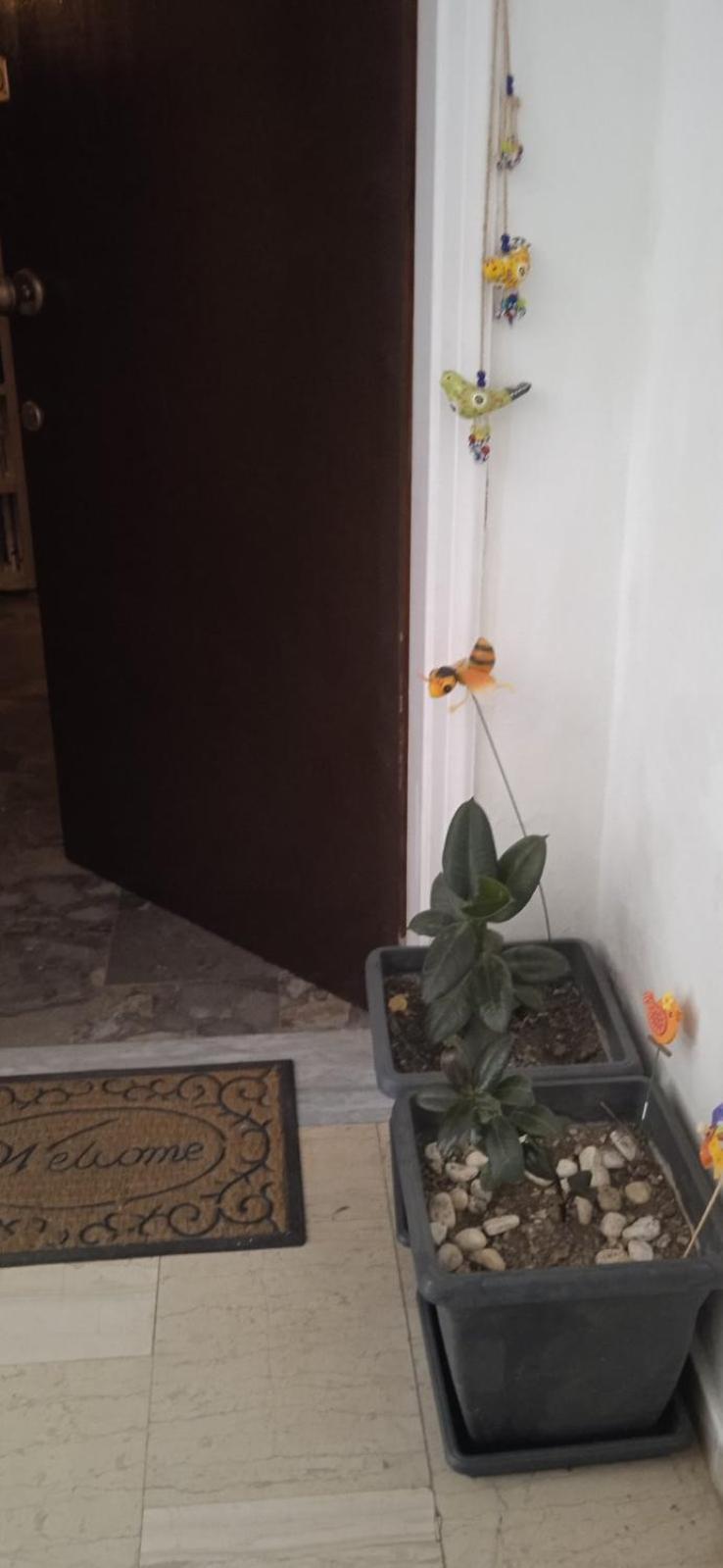 Campelina Home, 2Bd Near Corfu Town Ngoại thất bức ảnh
